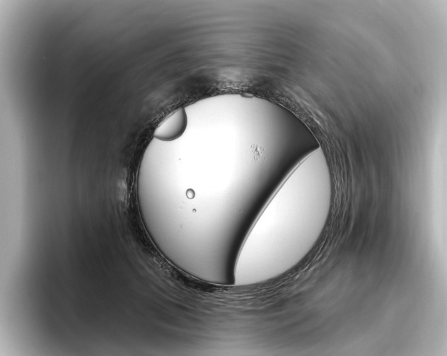 X0000096430655200801241024