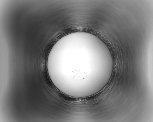 X0000096430656200801241024