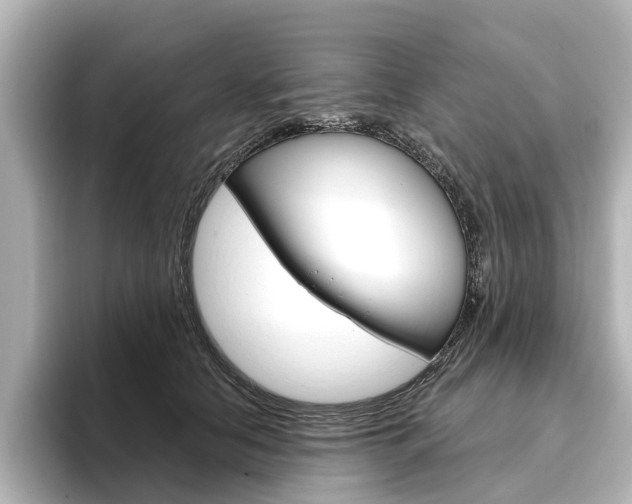 X0000096430658200801241024