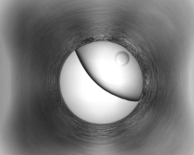 X0000096430659200801241024
