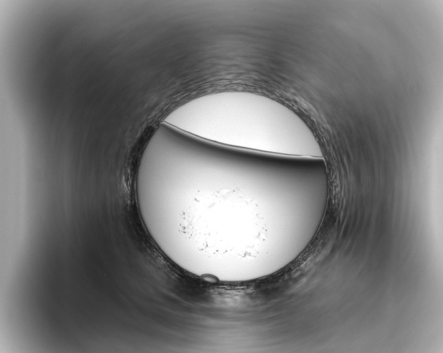 X0000096430661200801241025