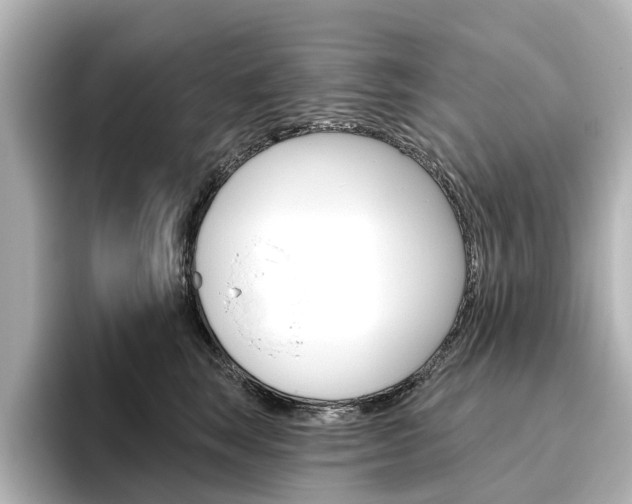 X0000096430663200801241025