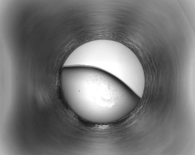 X0000096430665200801241025