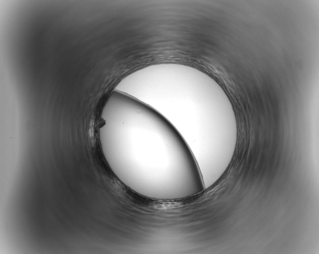 X0000096430670200801241025