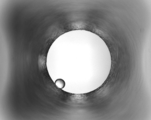 X0000096430672200801241025