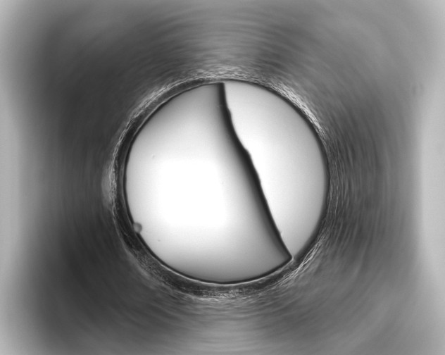 X0000096430674200801241024