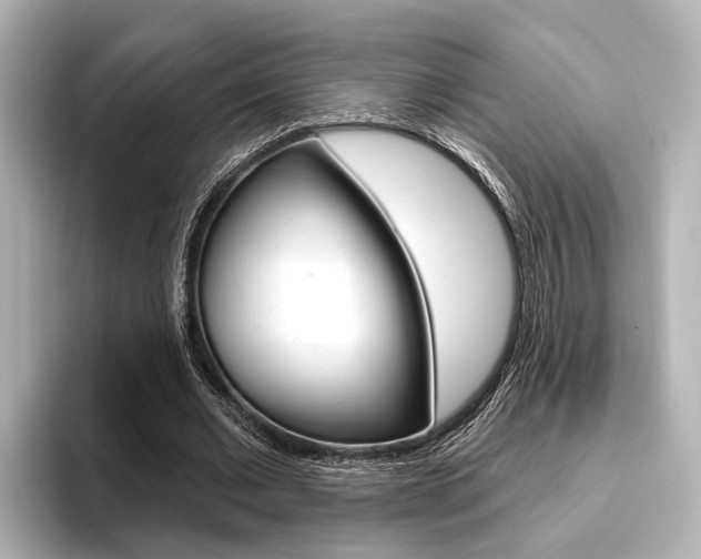 X0000096430677200801241024