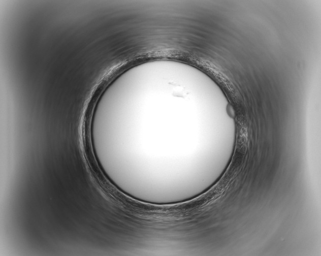 X0000096430678200801241024