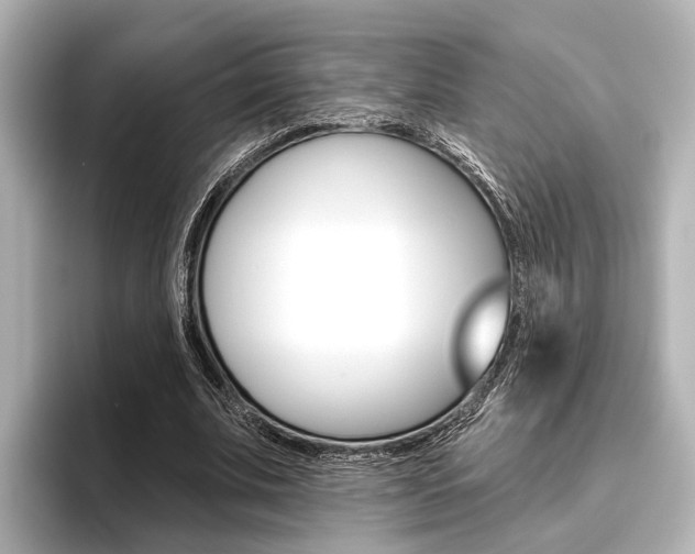 X0000096430679200801241024