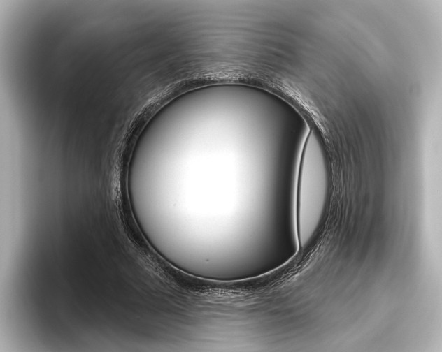 X0000096430681200801241024