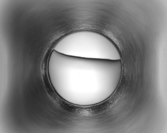 X0000096430683200801241024