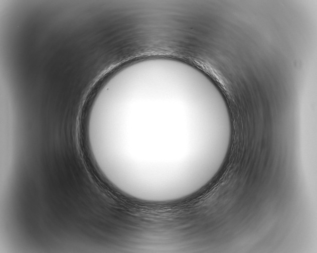 X0000096430684200801241024