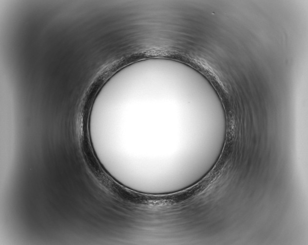 X0000096430686200801241024