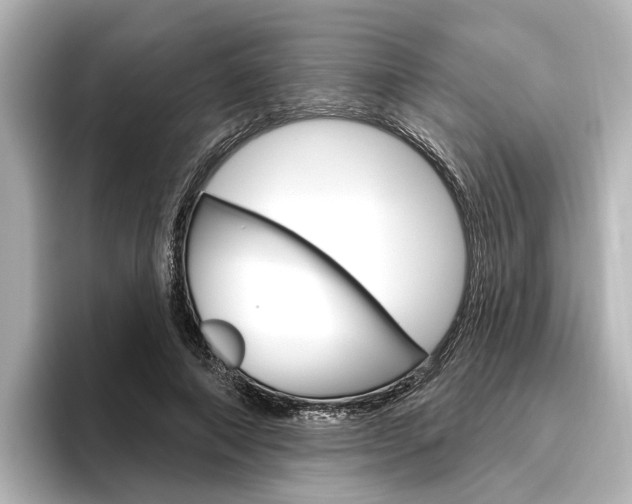 X0000096430690200801241024