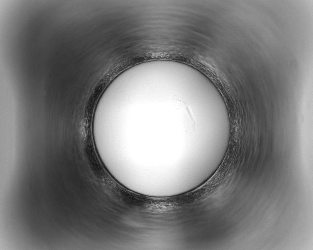 X0000096430691200801241024