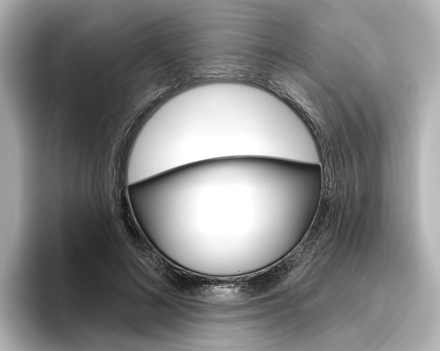 X0000096430692200801241024