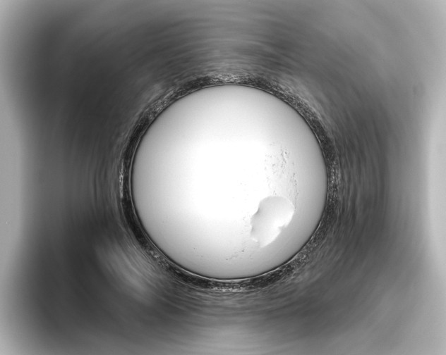 X0000096430694200801241024