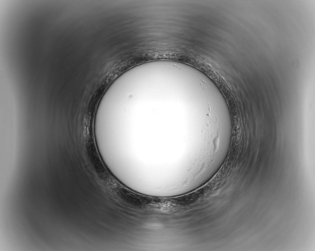 X0000096430695200801241024