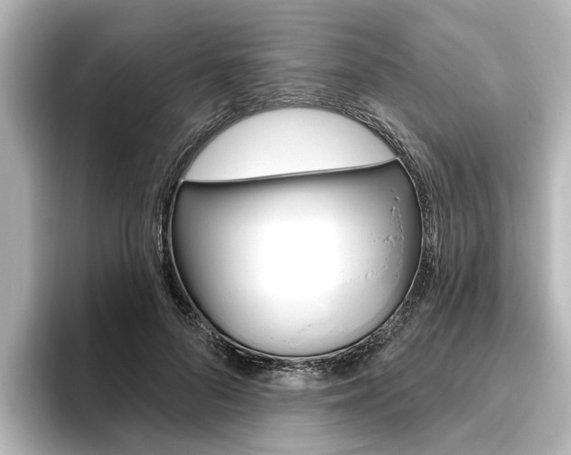 X0000096430696200801241024