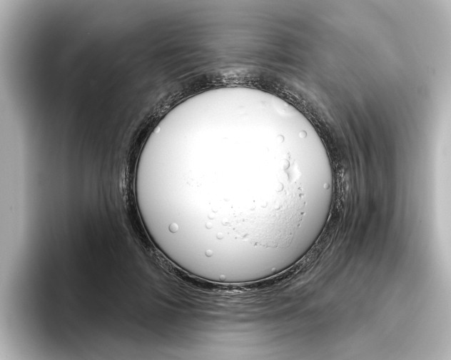 X0000096430698200801241024