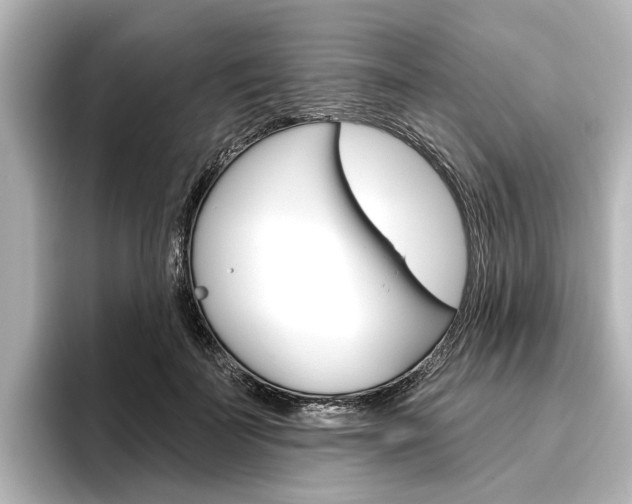 X0000096430699200801241024