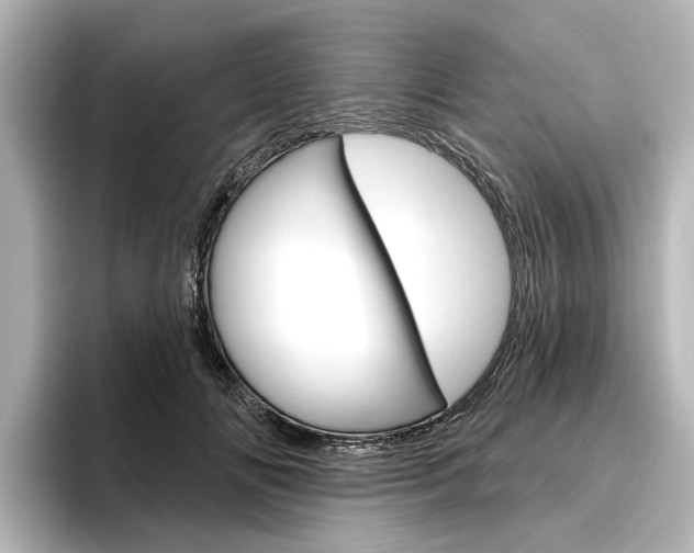 X0000096430702200801241024