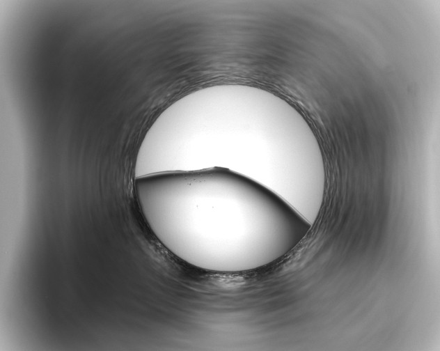 X0000096430719200801241023