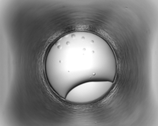 X0000096430721200801241023