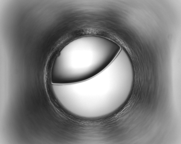 X0000096430722200801241023