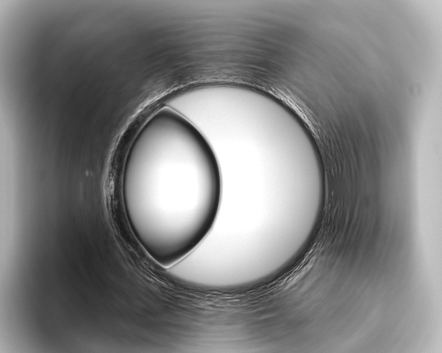 X0000096430723200801241023