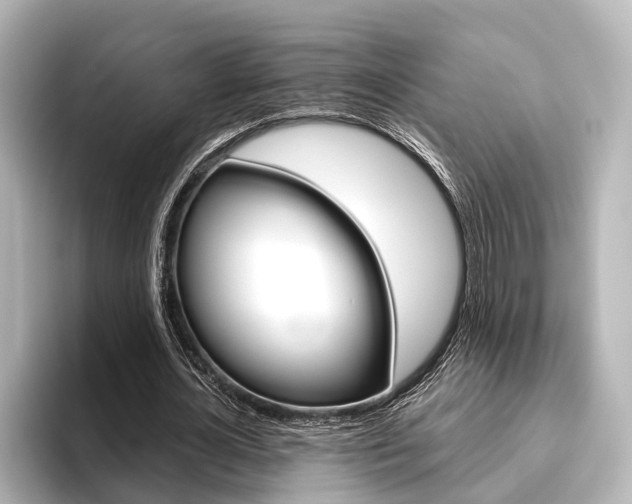 X0000096430724200801241023