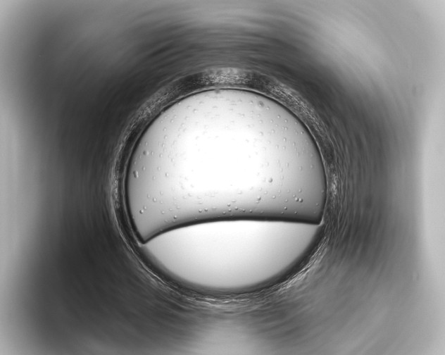 X0000096430725200801241023