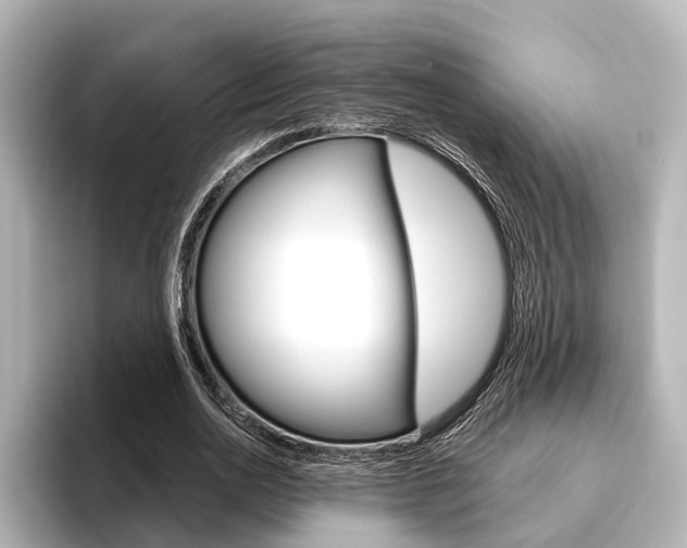 X0000096430726200801241023
