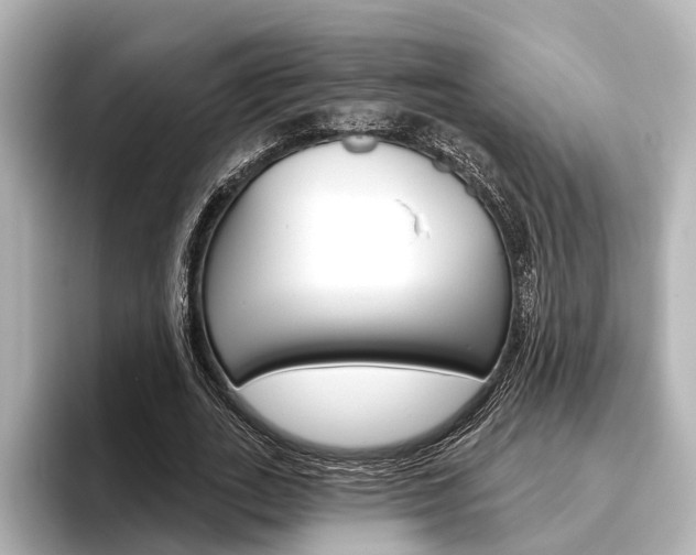 X0000096430727200801241023