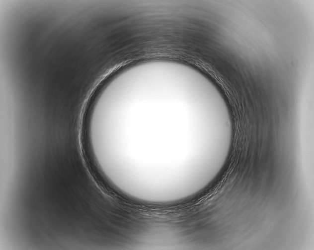 X0000096430728200801241023