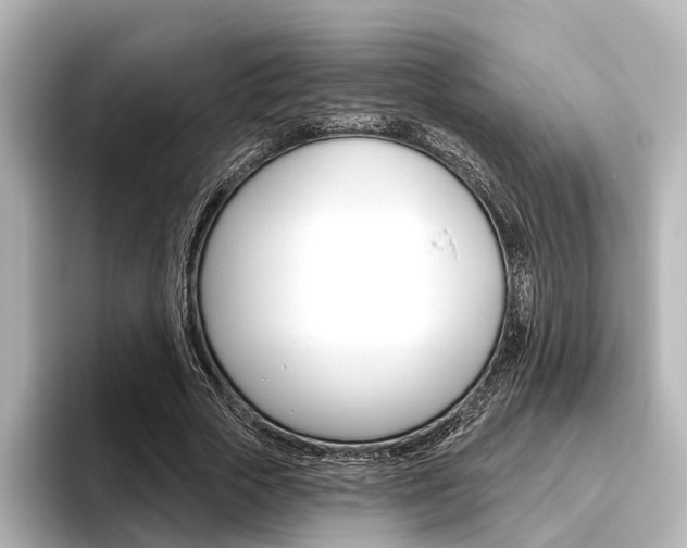 X0000096430729200801241023