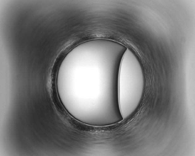 X0000096430730200801241023