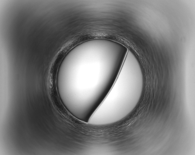 X0000096430731200801241023
