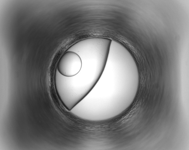X0000096430734200801241023