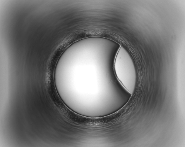 X0000096430735200801241023