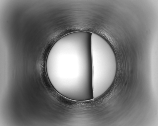 X0000096430736200801241023