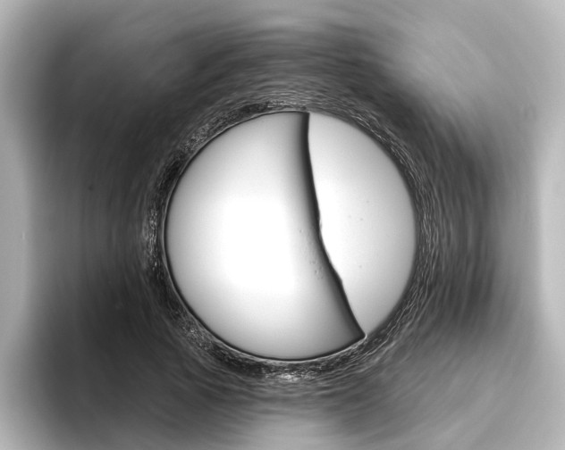 X0000096430737200801241023