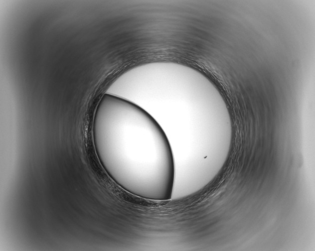 X0000096430739200801241023