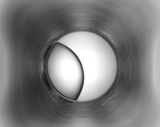 X0000096430740200801241023