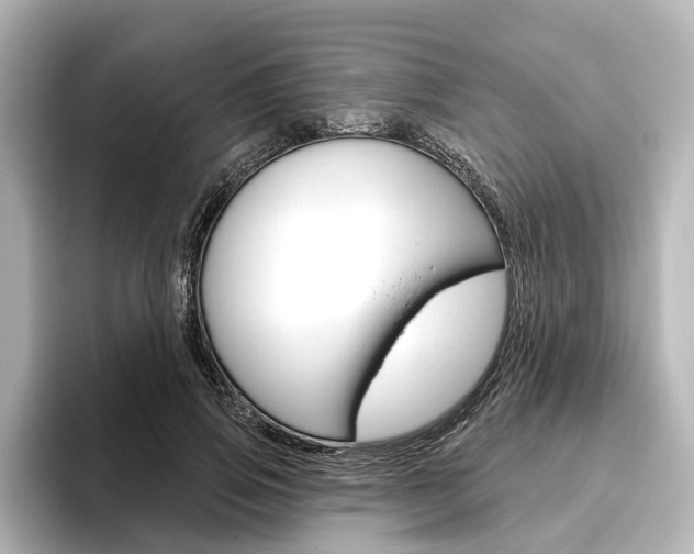 X0000096430741200801241023