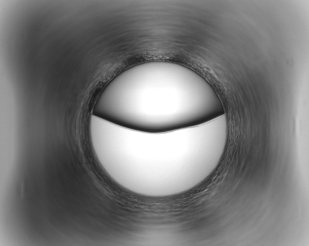 X0000096430742200801241023