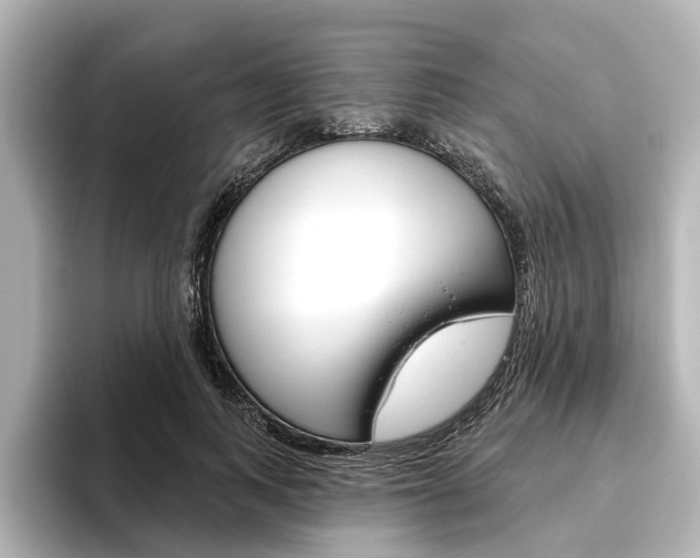 X0000096430743200801241023