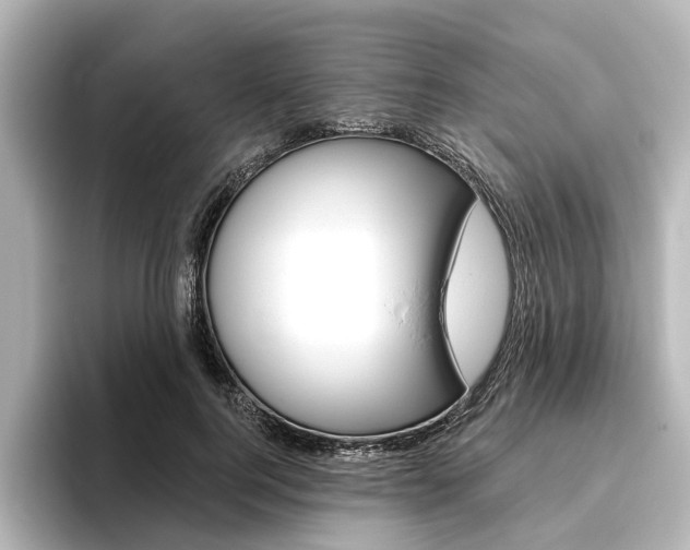 X0000096430744200801241023