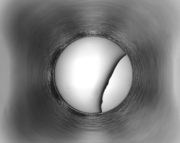 X0000096430746200801241023