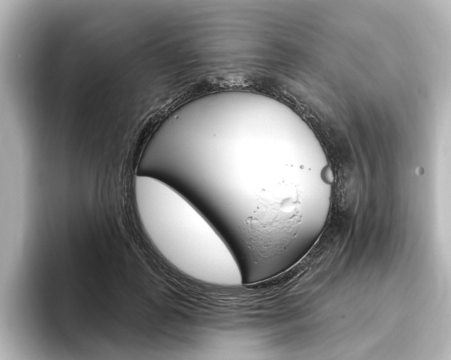 X0000096430747200801241023